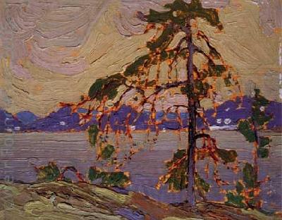 Tom Thomson Oil sketch for The Jack Pine Norge oil painting art